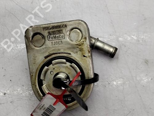 Used Oil radiator Oil radiator FORD FOCUS II (DA_, HCP, DP) 1.6 (100 hp) 34537633 34537633