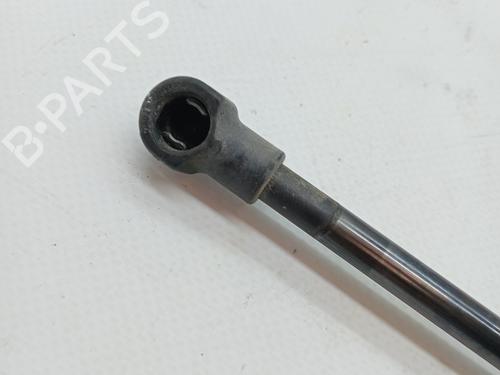 Tailgate lift support NISSAN QASHQAI / QASHQAI +2 I (J10, NJ10, JJ10E) 1.6 | BP23344747C138 