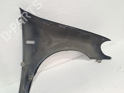 Left front fenders MERCEDES-BENZ M-CLASS (W163) ML 270 CDI (163.113) | BP25131131C41 