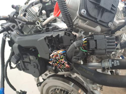 Engine KIA CEED (CD) 1.0 T-GDI MHEV | BP23364564M1 