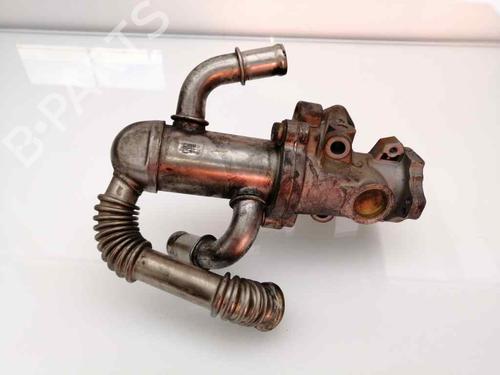 Egr FIAT DOBLO Box Body/MPV (223_) 1.3 D Multijet | BP23458011M69 