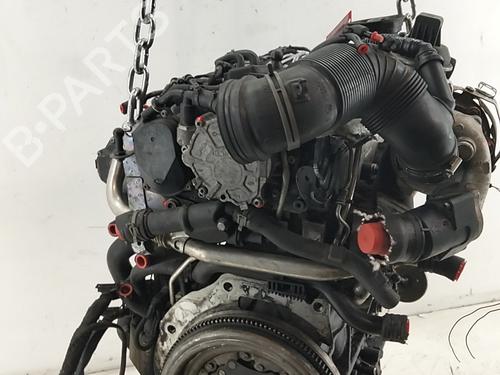 Engine VW GOLF V (1K1) 2.0 TDI | BP39644512M1 - Image 9