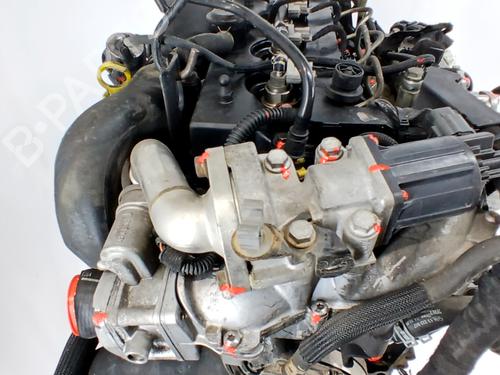 Engine OPEL ZAFIRA / ZAFIRA FAMILY B (A05) 1.7 CDTI (M75) | BP31580609M1 
