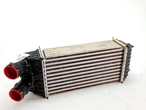 Intercooler Intercooler OPEL CROSSLAND X / CROSSLAND (P17, P2QO) 1.2 (75) (110 hp) 36157738 36157738