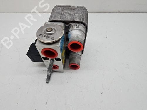 Used Expansion tank OPEL CORSA F (P2JO) CORSA-e (68) (136 hp) 30801471