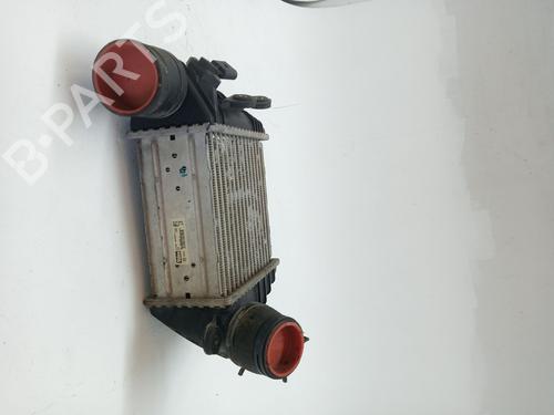 Intercooler SEAT LEON (1M1) 1.9 TDI | BP25783463M30 