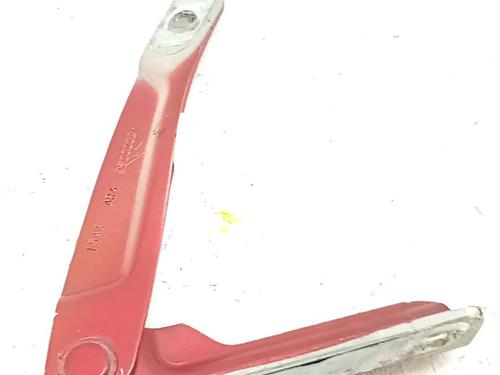 hingedoor-check-strap-dacia-sandero-ii-2012-34181866 main image