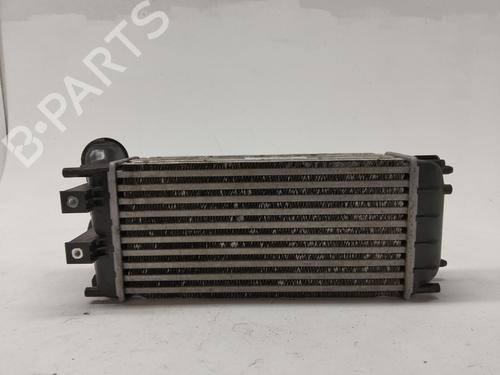 Intercooler CITROËN BERLINGO Box Body/MPV (B9) 1.6 HDi 90 | BP27700200M30 