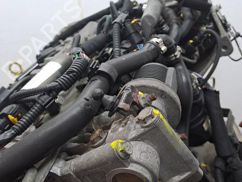Engine FIAT CROMA (194_) 1.9 D Multijet (194AXC1B, 194AXC12) | BP23375519M1 