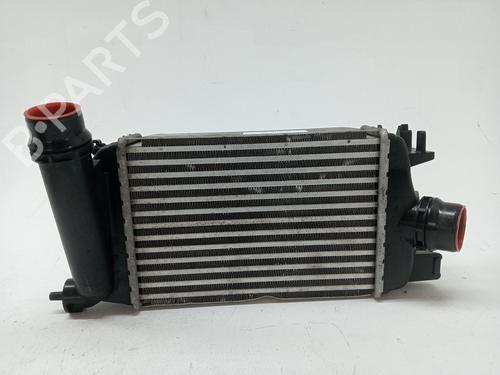 Used Intercooler NISSAN MICRA V (K14) 0.9 IG-T (90 hp) 23977179