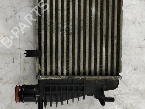 Intercooler Intercooler RENAULT CLIO III (BR0/1, CR0/1) 1.5 dCi (BR17, CR17) (86 hp) 33765115 33765115