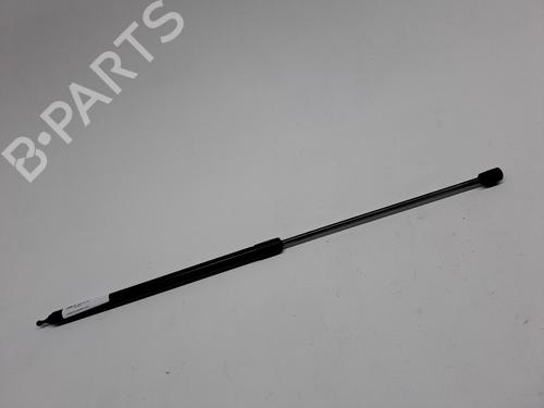 Used Hood lift support RENAULT MEGANE III Hatchback (BZ0/1_, B3_) 1.2 TCe (BZ2B, BZ11) (116 hp) 24193394