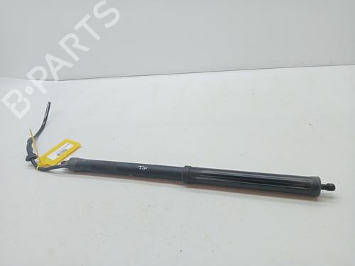 Used Tailgate lift support TOYOTA RAV 4 V VAN (_A5_, _H5_) 2.5 Hybrid (AXAH52) (218 hp) 23346030