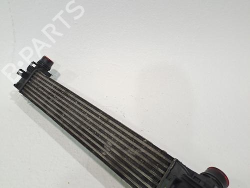 Used Intercooler RENAULT MEGANE III Hatchback (BZ0/1_, B3_) 1.9 dCi (BZ0N, BZ0J) (131 hp) 24193561