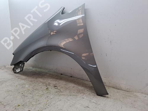 Left front fenders VW TOURAN (1T1, 1T2) 2.0 TDI 16V | BP23371179C41 