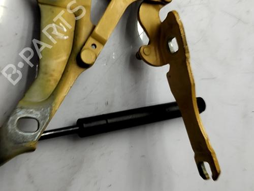 Hinge/Door check strap MINI MINI (R56) Cooper D | BP31262824C146