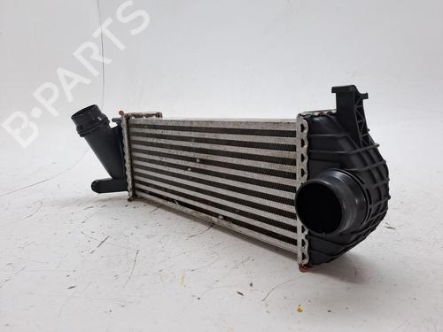 Intercooler RENAULT KANGOO / GRAND KANGOO II (KW0/1_) 1.5 dCi 90 (KW18) | BP27462254M30 