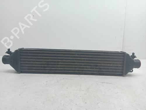 Used Intercooler FIAT DOBLO Bus (263_) 1.6 D Multijet (263AXP1B, 263AXW1B) (95 hp) 23350483