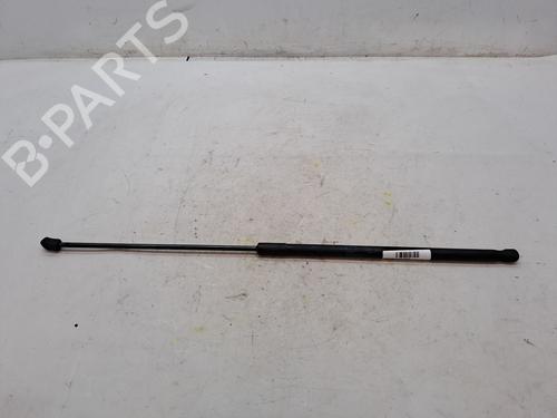 Used Hood lift support AUDI A3 (8P1) 1.8 TFSI (160 hp) 23359742