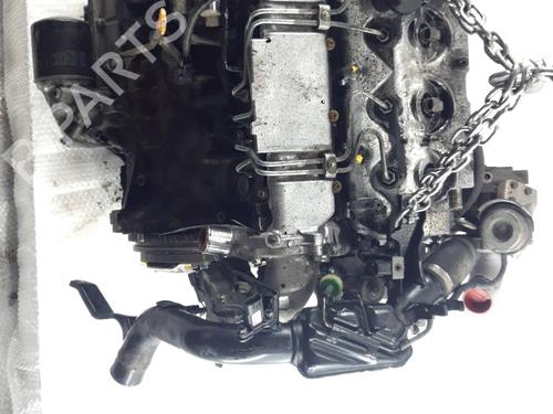 Engine TOYOTA COROLLA (_E12_) 2.0 D-4D (CDE120R, CDE120L_) | BP38637851M1 - Image 3