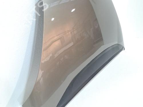 Hood CITROËN C4 Grand Picasso I (UA_) 2.0 HDi 138 | BP24329305C1