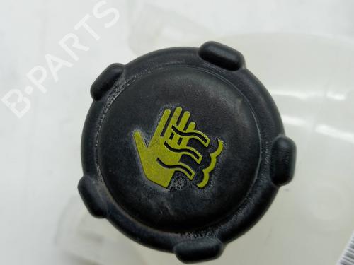 Expansion tank RENAULT CLIO IV (BH_) 1.5 dCi 75 | BP23344231C120 