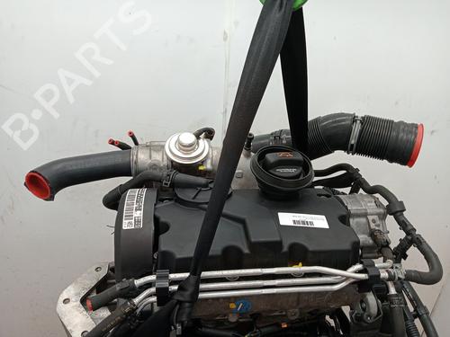 Motor SEAT IBIZA II (6K1) 1.9 TDI | BP23363796M1