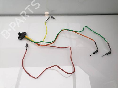Elektronisk sensor NISSAN NAVARA NP300 (D40) 2.5 dCi 4WD (D40TT, D40T, D40M, D40BB) (190 hp) 24925752