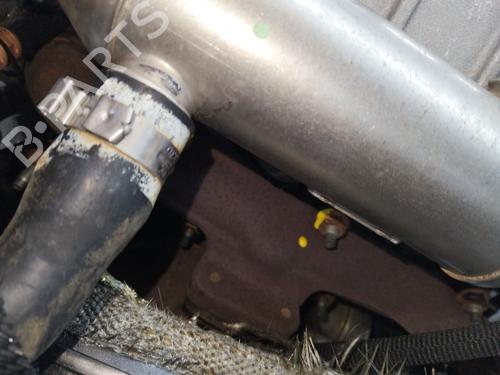 Engine CITROËN XSARA (N1) 2.0 HDi 90 | BP24109181M1 