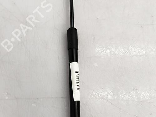 tailgate-lift-support-renault-kangoo-iii-box-bodympv-2021-36241441 main image