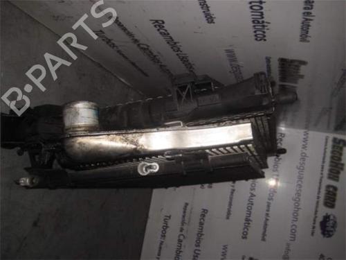 Water radiator RENAULT LAGUNA II (BG0/1_) 1.9 dCi (BG08, BG0G) | BP25465648M31 