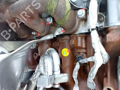 Engine FORD TRANSIT CUSTOM V362 Van (FY, FZ) 2.2 TDCi | BP32383968M1