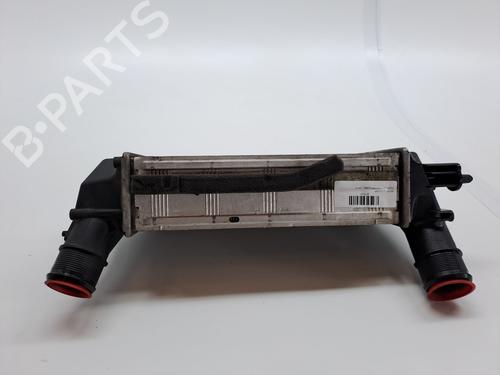 Used Intercooler FORD ECOSPORT 1.0 EcoBoost (125 hp) 23361370