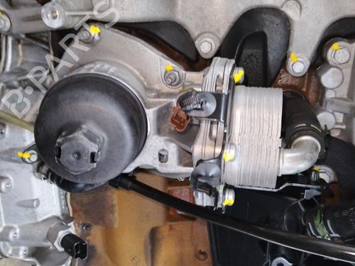 Engine LAND ROVER RANGE ROVER EVOQUE VAN (L538) TD4 4x4 | BP24444981M1 