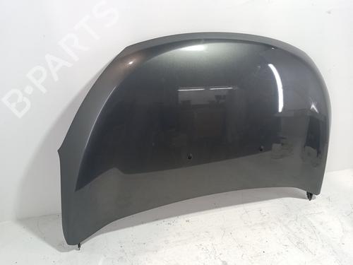 Hood DACIA LODGY (JS_) 1.6 SCe 100 (JSAV) | BP29179308C1 