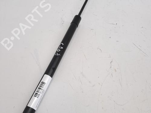 Used Hood lift support DACIA SANDERO II TCe 90 (B8M1, B8MA, B8AC) (90 hp) 23977086