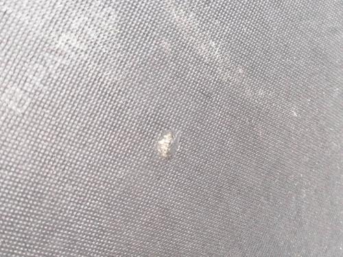 BP23651418O1 main image