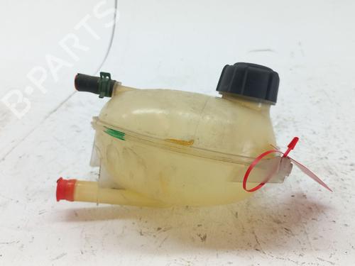 Expansion tank DACIA LOGAN MCV II TCe 90 (K8M1, K8MA, K8AC) | BP29499619C120 
