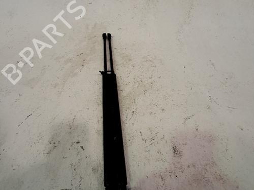 Tailgate lift support FIAT 500 (312_) 1.2 (312AXA1A) | BP29558837C138 