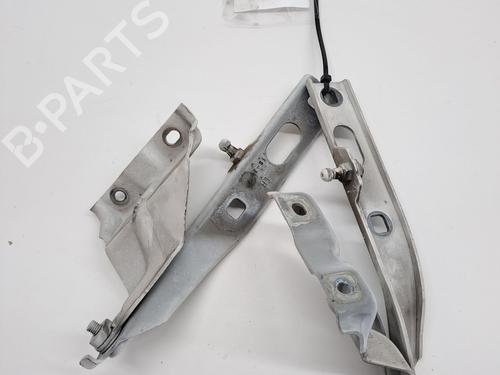 Hinge/Door check strap AUDI Q5 (8RB) 2.0 TDI quattro | BP25999700C146 