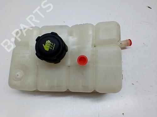 Used Expansion tank RENAULT SCÉNIC IV (J9_) 1.7 Blue dCi 120 (J9A7, J9A8) (120 hp) 29326044
