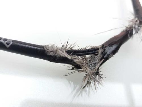 Elektronisk sensor SKODA RAPID (NH3, NK3, NK6) 1.6 TDI | BP24107477M84 