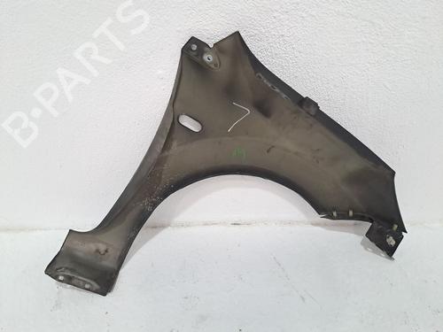 Left front fenders FORD FIESTA V (JH_, JD_) 1.4 TDCi | BP27274467C41 