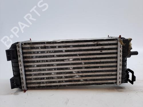 Intercooler FORD C-MAX II (DXA/CB7, DXA/CEU) 1.6 TDCi | BP23365622M30 
