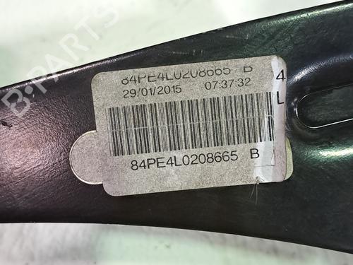 Break pedal PEUGEOT 308 II (LB_, LP_, LW_, LH_, L3_) 2.0 BlueHDi 150 | BP24108494I19 