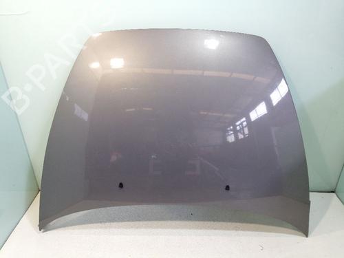 Hood VOLVO S40 II (544) 2.0 D | BP24402074C1