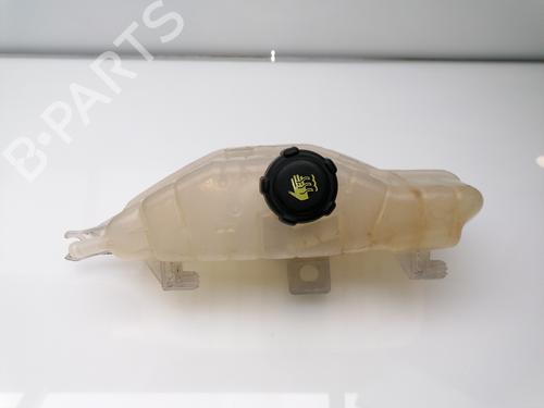 Expansion tank RENAULT CLIO III (BR0/1, CR0/1) 1.5 dCi | BP23383364C120 