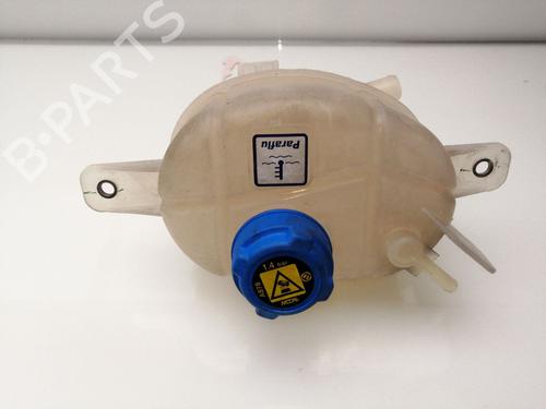 Expansion tank FIAT FIORINO Box Body/MPV (225_) 1.3 D Multijet | BP23387312C120