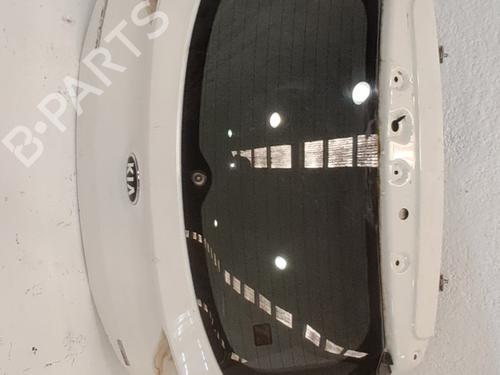 Used Tailgate Tailgate 38418019 38418019