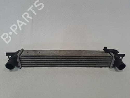 Used Intercooler PEUGEOT BIPPER (AA_) 1.3 HDi 75 (75 hp) 26193039